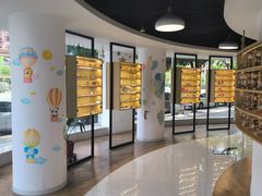 -天津大学爱尔眼科医院(天津总院)