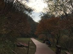 -木兰云雾山