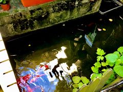 -老洋房花园饭店(绍兴路店)