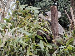-可伦宾野生动物保护区