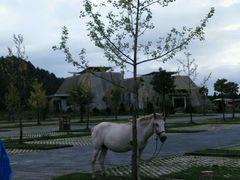 android_upload_pic-叠水河瀑布