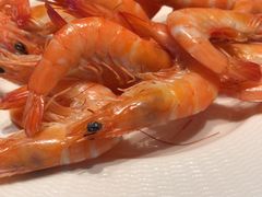 -美食汇自助餐厅(兰州万达文华酒店)