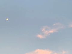 -金龙咖喱