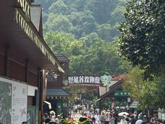 -野象谷景区
