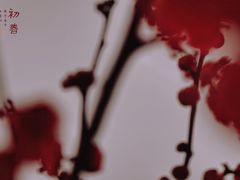 -杭州城北体育公园