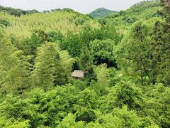-东明山森林公园