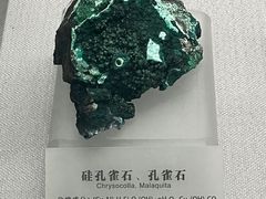 -湖南省地质博物馆