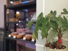 -左拉主义(长江路店)