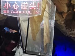 -雪玉洞景区