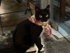 -旧天堂书店(华侨城创意文化园南山特色文化街区店)