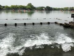 -西湖外事游船(花港观鱼码头)