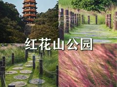 -四海公园(南山区)