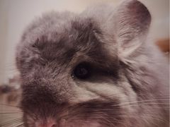 -龙猫仔乐园(惠福东路店)