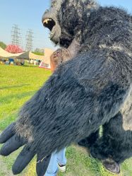 -268童话露营营地·烧烤·团建