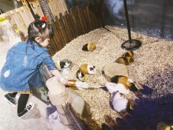 -酷嗒动物文化乐园(cutezoo西溪乐天城店)