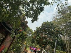 -中国科学院西双版纳热带植物园
