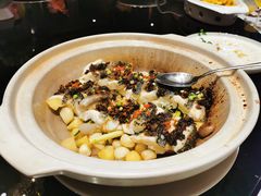 潮汕老菜脯蒸大龙-新雅粤菜馆(南京东路店)