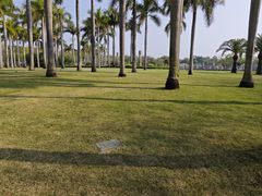 -白鹭洲公园