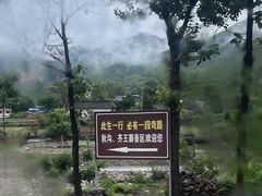 -齐王寨景区