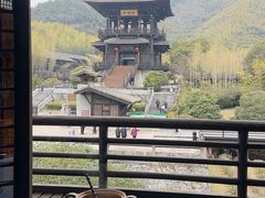 -大唐贡茶院