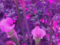 -北京植物园-展览温室