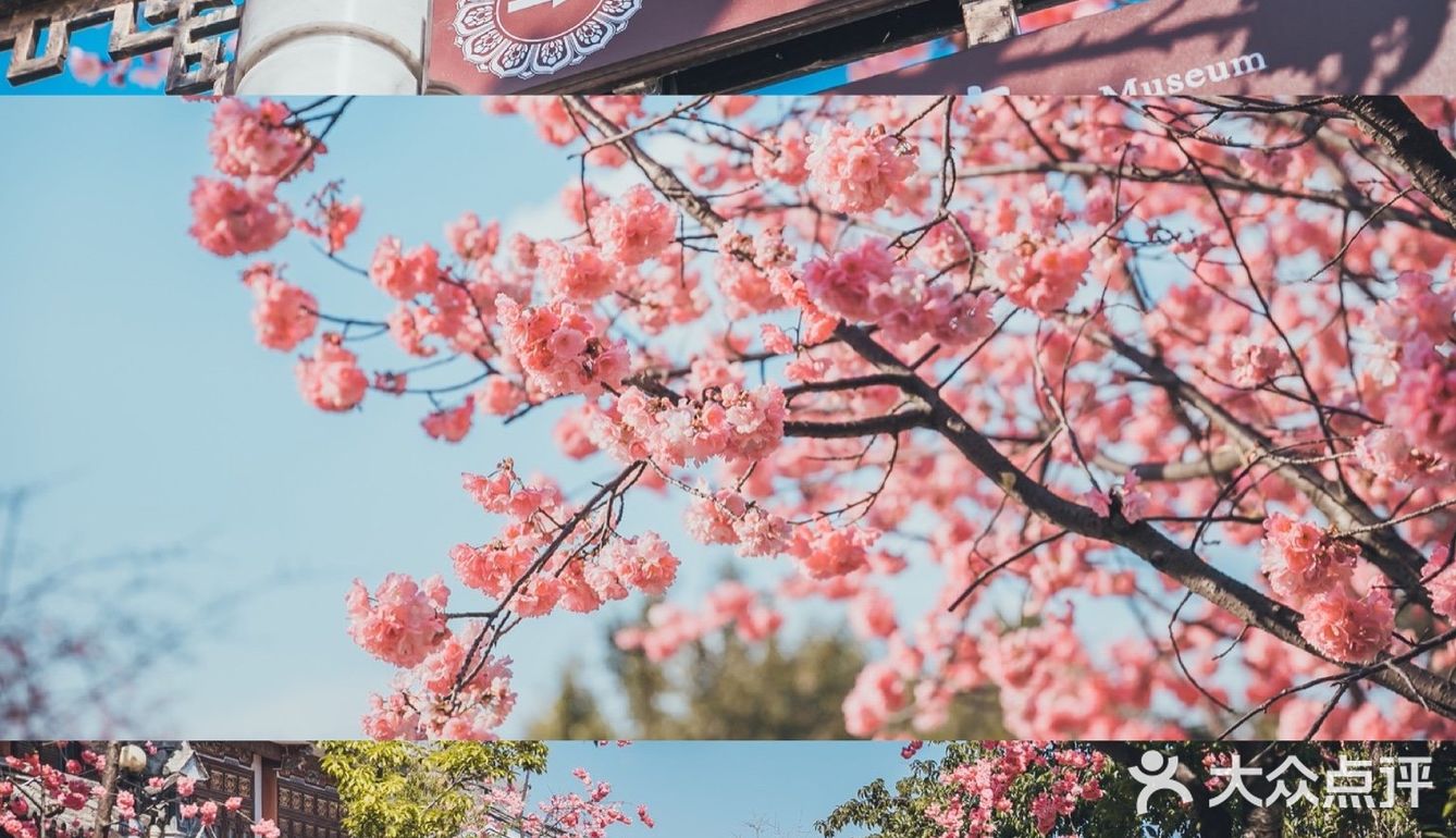 其他拆剩的环境一般 住双廊亲水房一定要有管家服务的