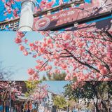 其他拆剩的环境一般 住双廊亲水房一定要有管家服务的