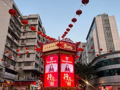 -越秀西湖花市(广州城市广场花卉店)