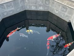 -西安市广仁寺