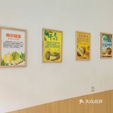 榴莲脑袋狂喜❗️榴莲自助吃到饱