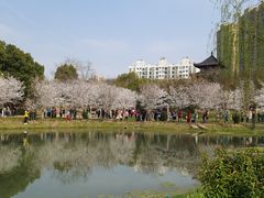 -堤角公园