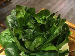 菠菜-蜀江龙火锅(清苑店)