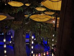 -淀里船宴(卓达店)