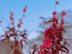 -北京明城墙遗址公园