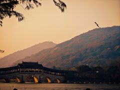 -长广溪湿地公园