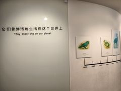-重庆自然博物馆(新馆)
