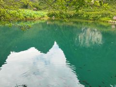 -靖西鹅泉风景区