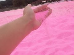 -大塘金香草谷