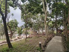 -上海野生动物园