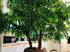 -CoCo都可(中联广场店)