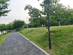 -羊山湖公园