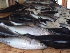 -尼甘布海鲜市场