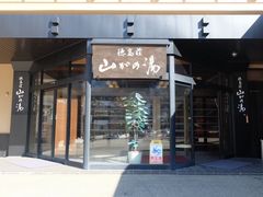 -惠高庄萨诺月酒店