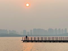 -北龙湖湿地公园