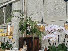 -6号花园别墅酒店