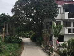 -南丫岛