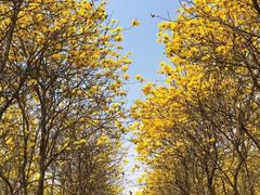 -露天矿生态公园