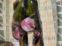 -铭记蛙小仙·活蛙畅享(CBD万达广场店)