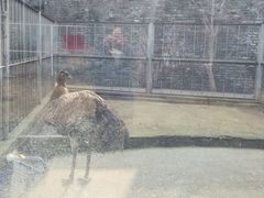 -水绘园