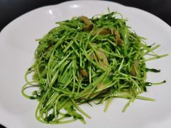 -杨记海鲜楼(三门黑金冠店)